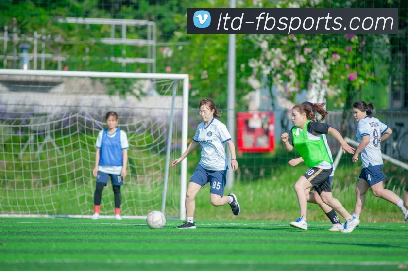 App Interface Preview